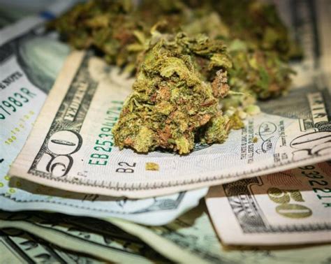 5 Of The Most Cash Rich Cannabis Stocks