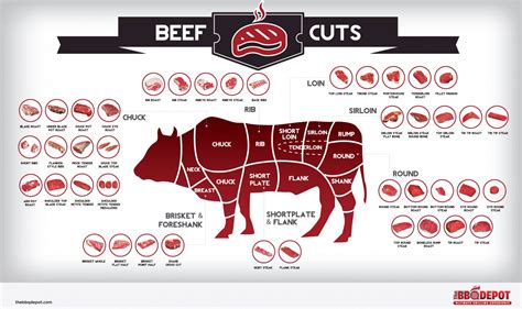 Cuts Of Beef Infographic Tasty Recipes
