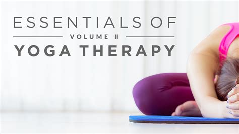 Essentials Of Yoga Therapy Vol Iii Yoga International