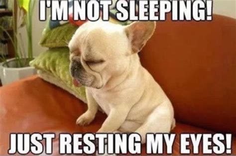 25 Hilarious Things Sleep Deprived Moms Have Done