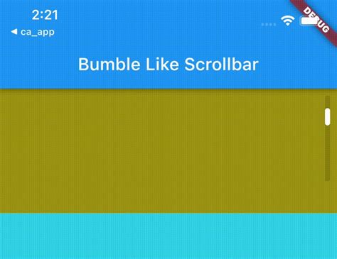 Bumble Like Scrollbar Implementation In Flutter My Xxx Hot Girl