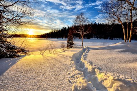 Free Images Tree Nature Wilderness Snow Cold Sunrise Sunset