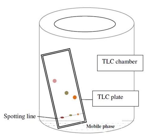 Thin Layer Chromatography Tlc Principle And Procedure Owlcation