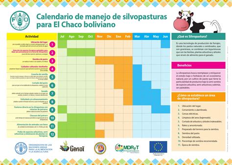 Calendario De Manejo De Silvopasturas Para El Chaco Boliviano By Fao