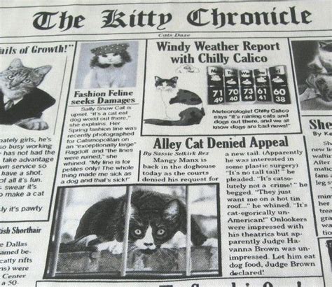 Kitty Chronicle Cat Newspaper Fabric By The Yard Etsy Canada Kitty