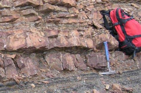 Extreme Cold Wiped Out Species In Permian Triassic Extinction Event