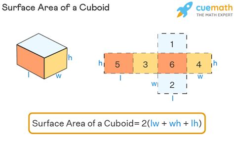 Top 8 What Is Total Surface Area Of Cuboid 2022