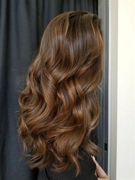 Rich Chocolate Brown With Highlights Brown Hair Inspo Honey Brown Hair