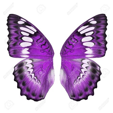 Purple Wings Purple Butterfly Wings Blue Butterfly Wings Butterfly