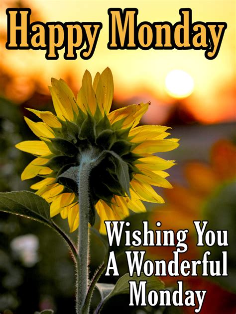 Beautiful Happy Monday Images With Wishes Quotes And Messages