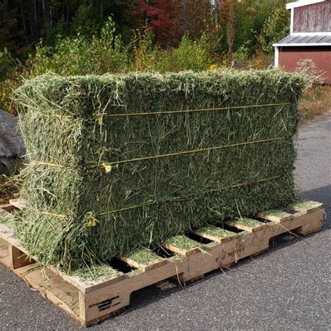 2nd Cut Western Alfalfa 3 String Bales The Cheshire Horse