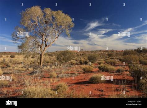 Outback Australia Landscape Aborigines Australian Desert Down
