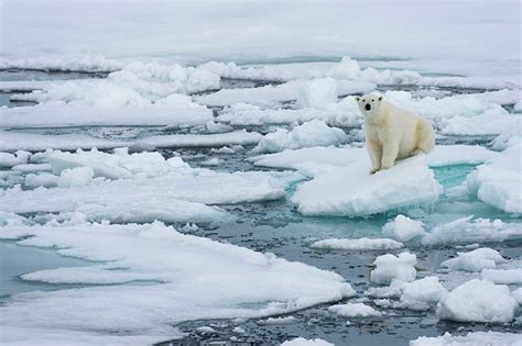 Video Nasa Timelapse Footage Shows Arctic Sea Ice Disappearing