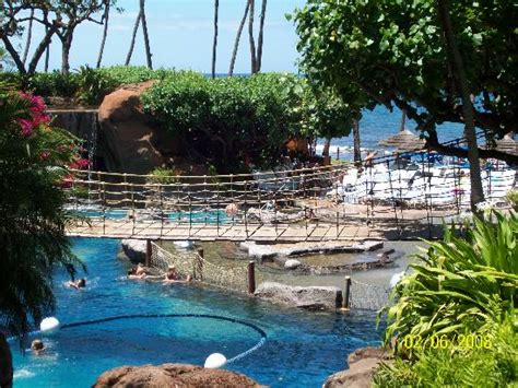 View Of The Kids Pool Picture Of Hyatt Regency Maui Resort And Spa