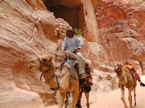 How heavy is a camel? Free Images : landscape, canyon, jordan, wadi, petra, pack ...