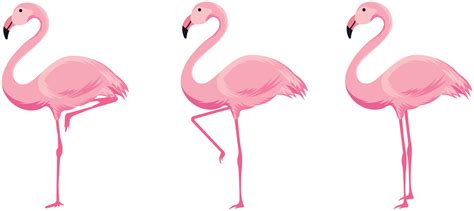 Pink Flamingos Bird Sticker Tenstickers