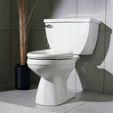 Types Of Flushing Mechanisms In Toilets Gold Coast Plumbing Company