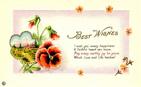 Greeting Best Wishes Hippostcard