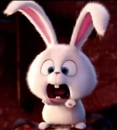 Pin By Aesthetic Disney On Snowball Pets Movie Cute Bunny Cartoon