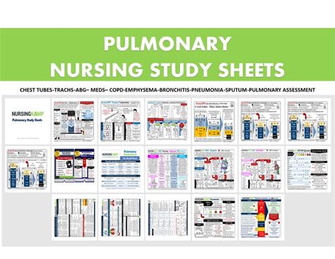 Complete Pulmonary Nursing Study Sheets For Nursing School And Etsy