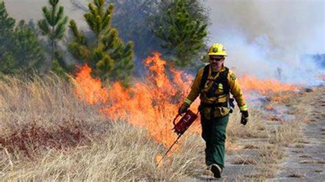 Prescribed Burns Happening Today At Area State Parks