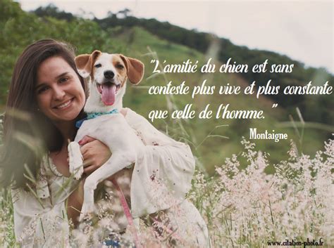 20 Différence Entre L Homme Et L Animal Animal Sarahsoriano