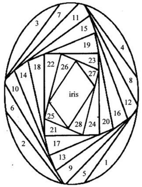 Cerca nel più grande indice di testi integrali mai esistito. Iris folding oval chart | Iris paper folding, Iris folding templates, Iris folding pattern
