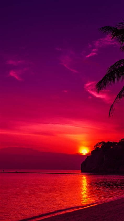 Download Fuchsia Pink Gradient Sunset Sky Wallpaper