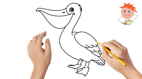 How To Draw A Pelican Easy Drawings Youtube