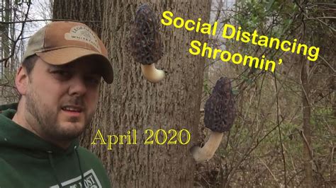 Morel Mushroom Hunting Ohio 2020 Social Distancing Edition Youtube