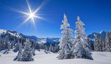 1080p Free Download Winter Landscape Glow Sun Clear Bonito Trees