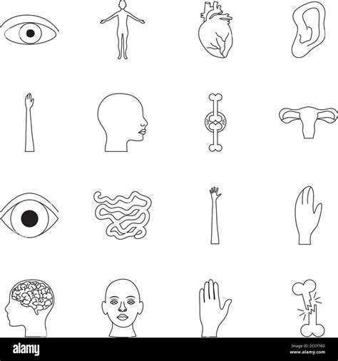 Hands And Human Body Icon Set Over White Background Line Style Vector