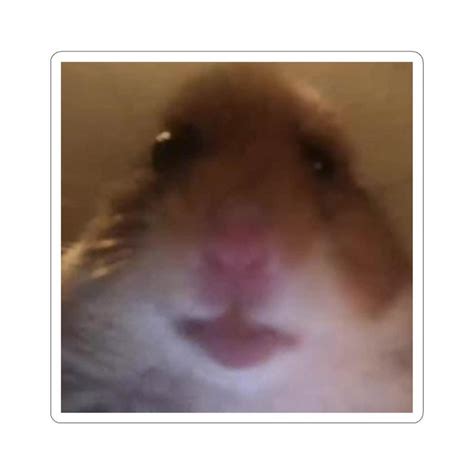 Funny Hamster Selfie Meme Kiss Cut Stickers Etsy