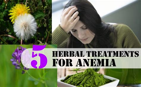 Herbal Treatments For Anemia Find Home Remedy And Supplements