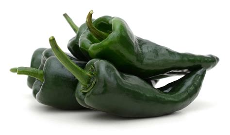 Poblano Chile Peppers Connecting Local Producers With Retailers Crop2 Shop