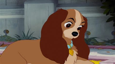 Lady Disneys Lady And The Tramp Photo 40961649 Fanpop