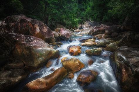 101615 Mountain Stream Flowing Forest Photos Free And Royalty Free