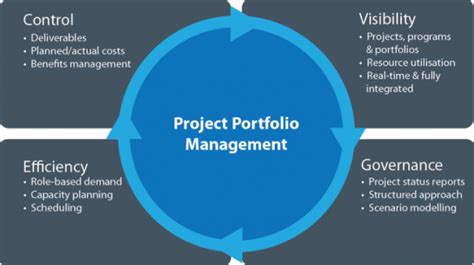 Project Portfolio Management Project Management Homework Help