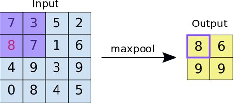 Introduction To Convolutional Neural Networks With Tensorflow And Keras