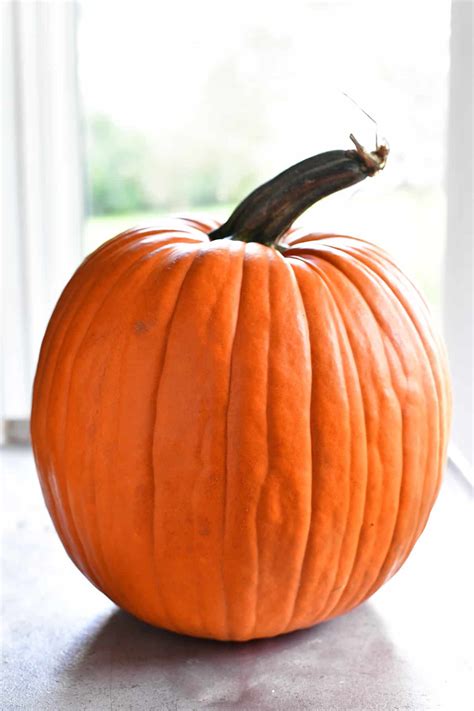 In this easy recipe, the pumpkin is seasoned with olive oil, garlic, and. Roasting Pumpkin Seeds - The Gunny Sack