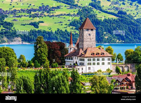 Spiez Vineyard Hi Res Stock Photography And Images Alamy