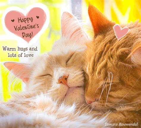 Happy Valentine’s Day Cat Hug. Free Happy Valentine's Day eCards | 123