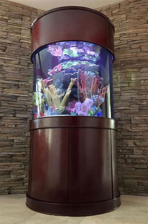 Incredible Round Fish Tanks For Sale Ideas