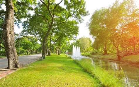The Importance Of Green Spaces In Cities Zameen Blog