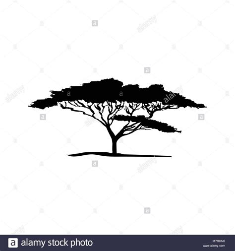 Vector Silhouette Of Acacia Tree African Flora Stock Vector Acacia