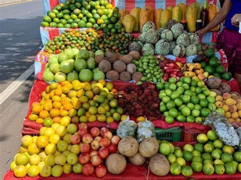 El Salvador El Para So De Las Frutas Ex Ticas Y Tropicales