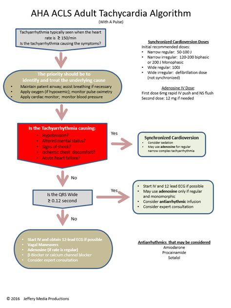 Acls Algorithm Overview In 2020 Acls Algorithm Acls Medical Mnemonics