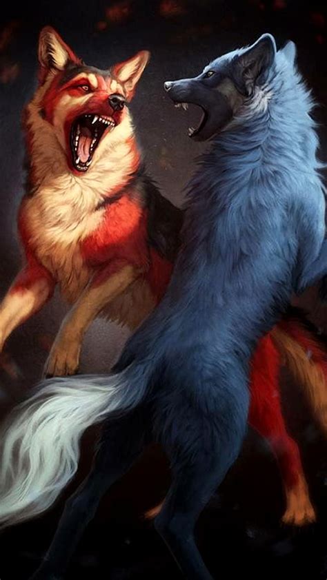 Fight Animal Fantasy Wolf Wolves Hd Phone Wallpaper Peakpx