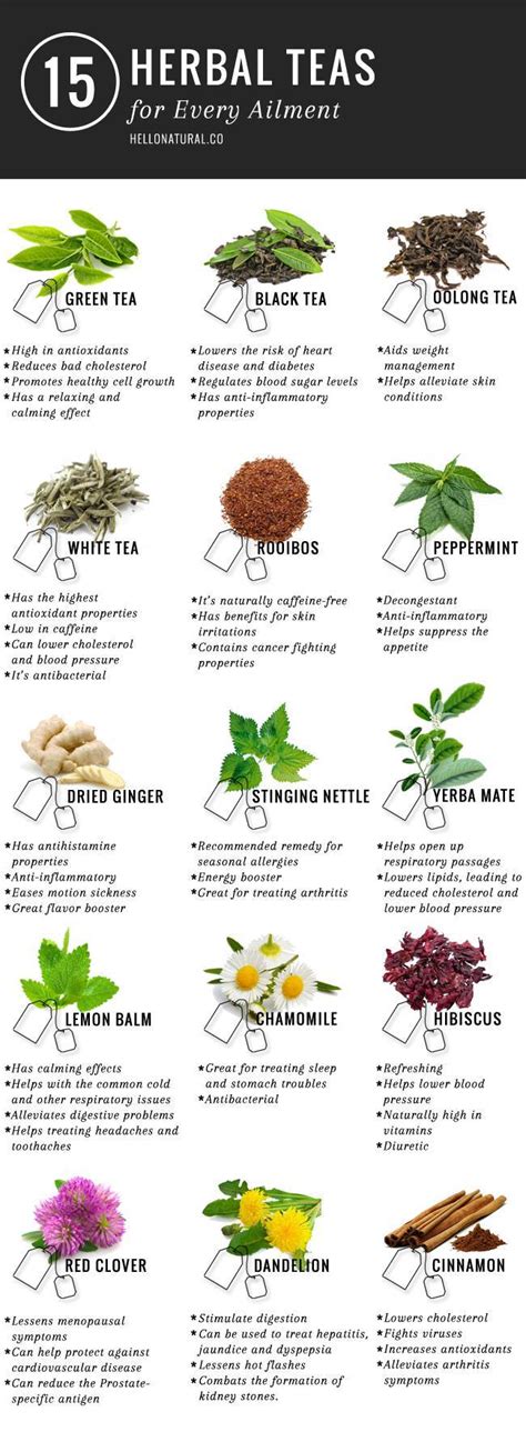 Best 10 Herbal Teas You Need To Drink To Be Healthy