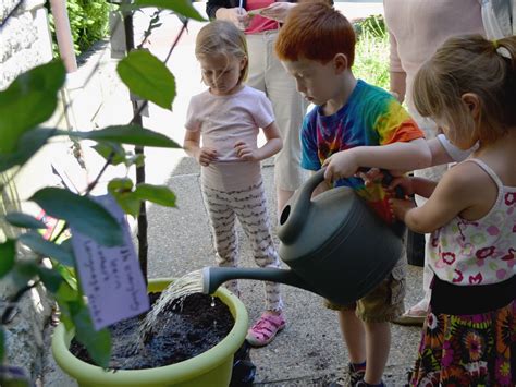 Children Planting Tree First Unitarian Church Of Providence